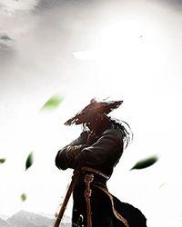 我不是骑士吗?为啥喊我太阳?
